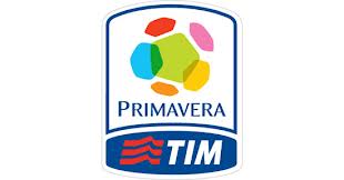 logo primavera logo primavera