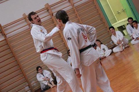 taekwondo adami giacomo taekwondo adami giacomo