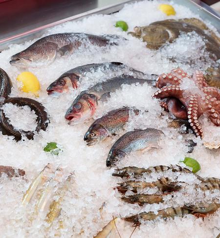 PESCE SOTTO GHIACCIO2 PESCE SOTTO GHIACCIO2