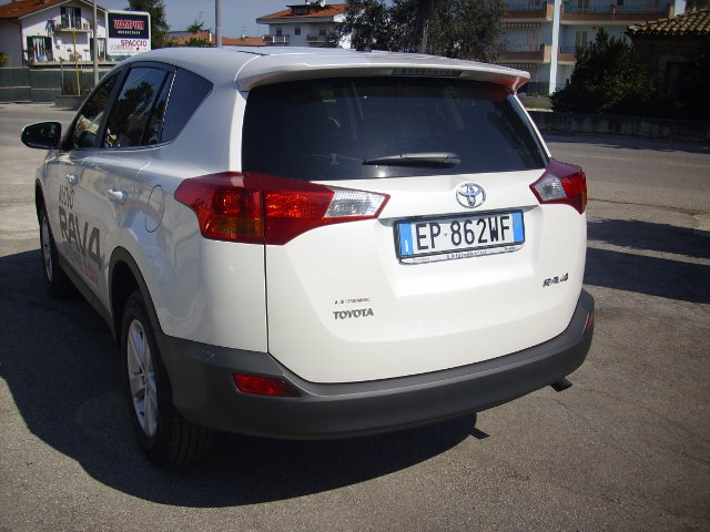 RAV42 RAV42