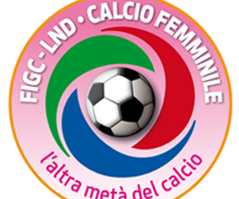 Dipartimento-Calcio-Femminile1-480x400 Dipartimento-Calcio-Femminile1-480x400