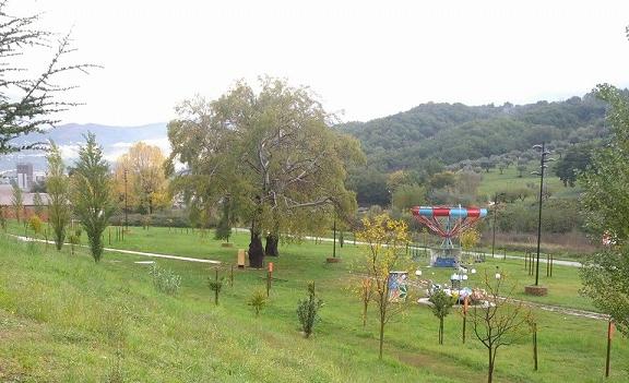 scorcio percorso di gara Trofeo CittÃ di Castrolibero