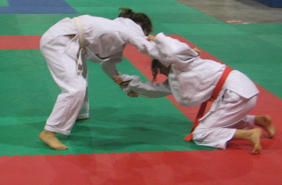 IMG 8468 IMG 8468