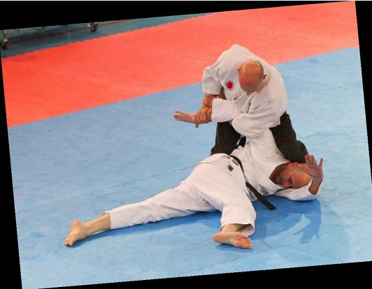 Loano stage ju jitsu Loano stage ju jitsu
