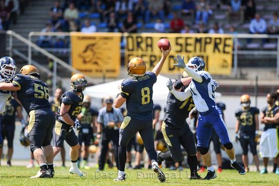 lions seamen foto dario fumagalli lions seamen foto dario fumagalli