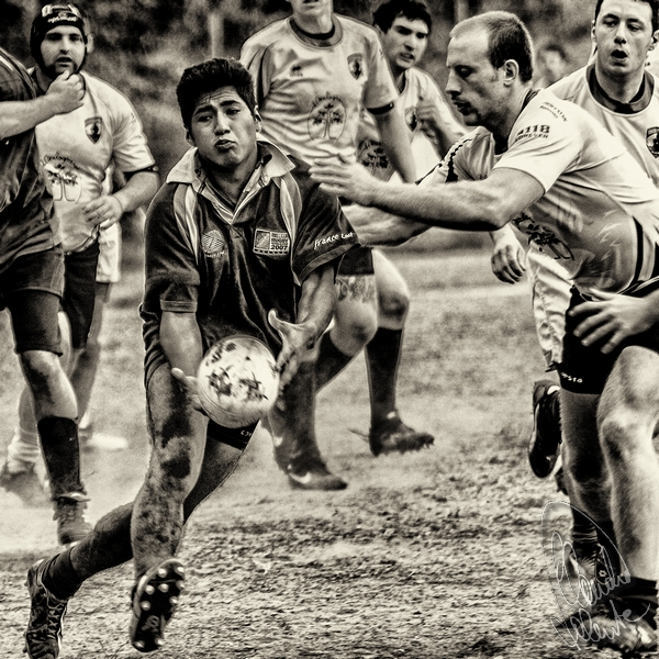 Tigullio Rapallo Union Rugby Tigullio Rapallo Union Rugby