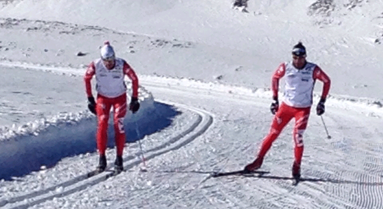 stelvio 2015 stelvio 2015