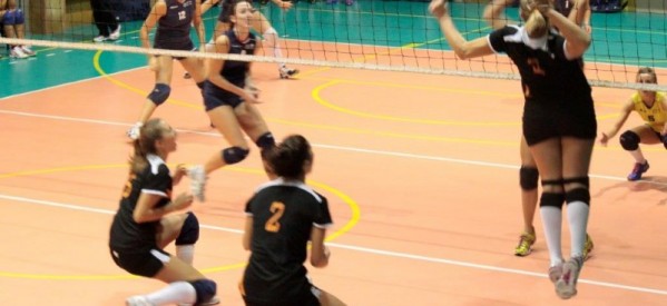2014 serteco volley-60-800x533-599x275 2014 serteco volley-60-800x533-599x275
