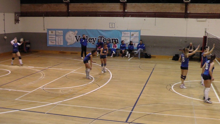 acli2 acli2