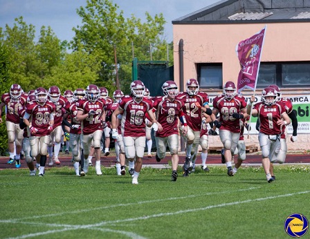 Lenaf2014-1 Lenaf2014-1