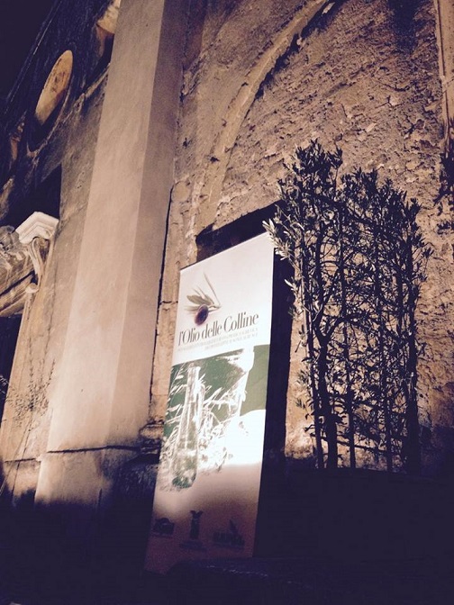 cori dellolio e delle olive 2015 7 cori dellolio e delle olive 2015 7