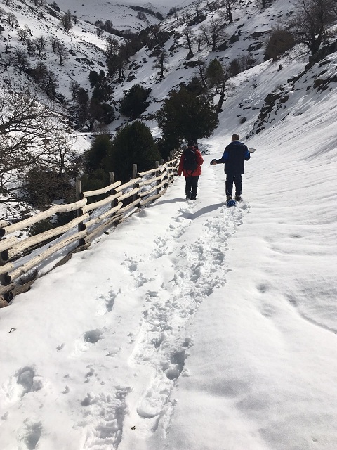 Durante il sopralluogo a Desulo Durante il sopralluogo a Desulo
