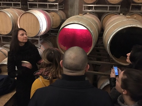 Food and Wine Management lungo la Strada del Vino della provincia di Latina 4