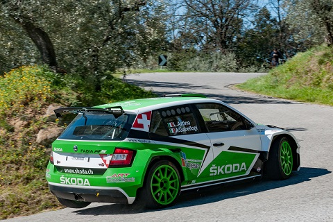 ARTINO SKODA FABIA ARTINO SKODA FABIA