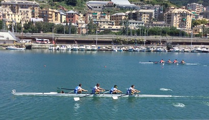 cusgenova 4con cusgenova 4con