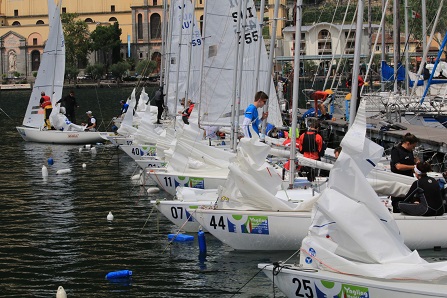 IMG 0239 IMG 0239