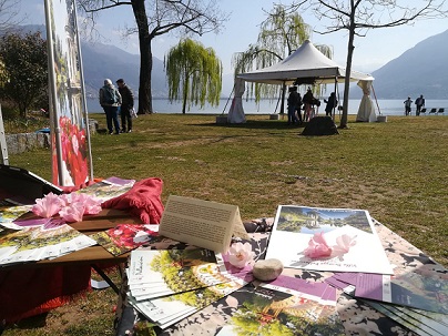 0aLocarno 2019-01 0aLocarno 2019-01