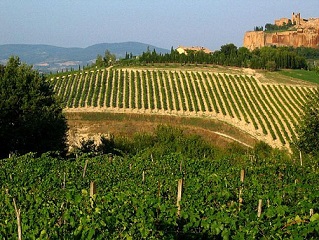 0paesaggio t 0paesaggio t