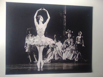 Eva Evdokimova - La bella addormentata Opera de Paris n Eva Evdokimova - La bella addormentata Opera de Paris n