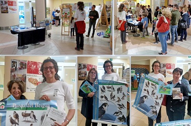 Varazze-Corte-di-Mare-concorso.2019 disegna-il-Parco-del-Beigua Varazze-Corte-di-Mare-concorso.2019 disegna-il-Parco-del-Beigua