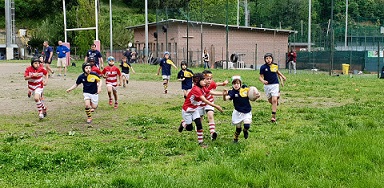 minmirugby minmirugby