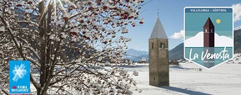 0a0venoimage007 0a0venoimage007