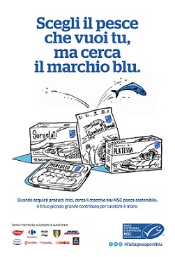 0a0Fai la spesa per il blu layout 2 0a0Fai la spesa per il blu layout 2