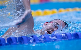 0a0nuoto Cseh Laslo credits Domeyko 0a0nuoto Cseh Laslo credits Domeyko