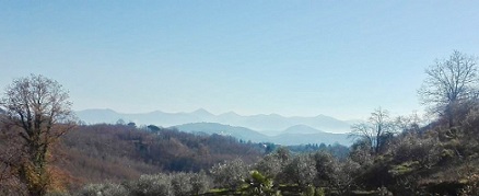 0a0aOLIVETO BASSIANO 0a0aOLIVETO BASSIANO