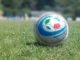 SERIE D