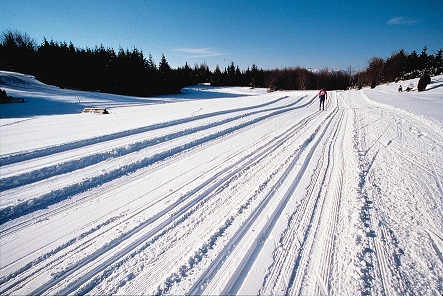Piste da fondo a Pratizzano (Reggio Emilia), foto di Gianluca Figliola Fantini, Visit Emilia