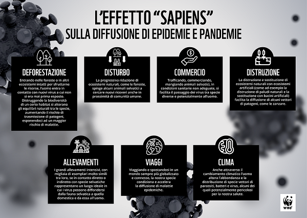 WWF-infografica-effetto-sapiens