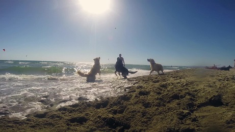 baubeach