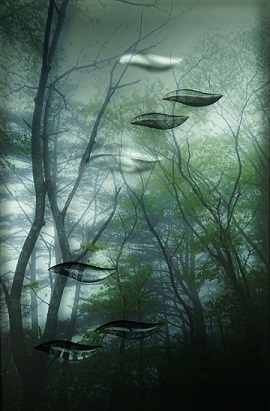 inspired_by_nature Rossocinabro
