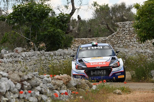 Corrado Fontana, Nicola Arena (Hyundai i20 WRC #5. Bluthunder)