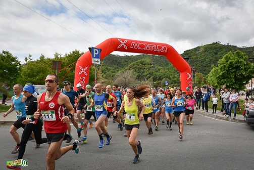 Luceto Classic 2019
