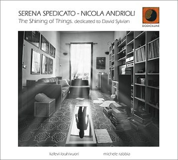 The Shining of Things. Dedicated to David Sylvian (Copertina)