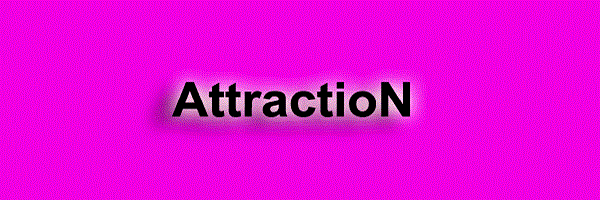 flyer-attraction-