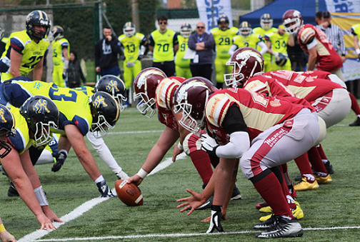 hogs reggio emilia