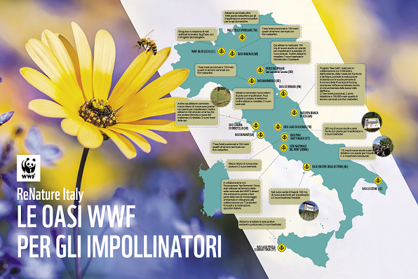 mappa impollinatori wwf