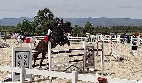 salto e cavallo