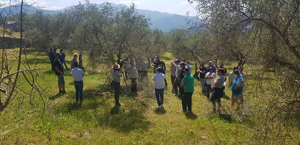 CORSO POTATURA NORMa