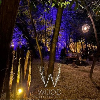 Wood2