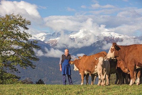 Südtirol, Herbst, Roter Hahn, Ferien auf dem Bauernhof, Vöran, Wieser-Hof,