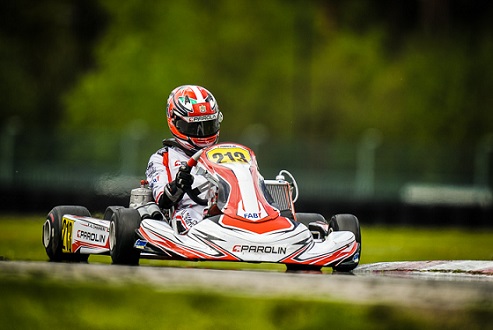 parolin