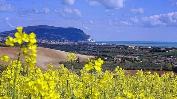 riviera conero 5mila marche