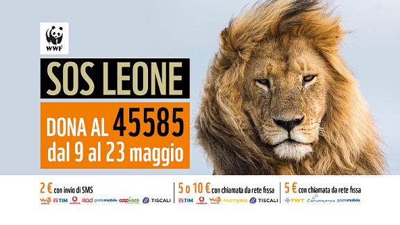 wwfCartello SOS-Leone-