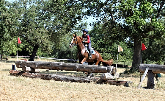 x sito salto cross