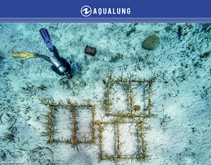 Aqua Lung Lorenzo Mittiga
