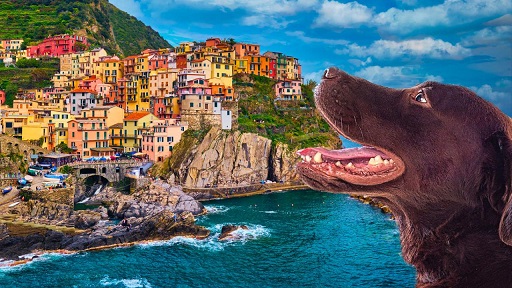 Cinque_terre_tripfordog